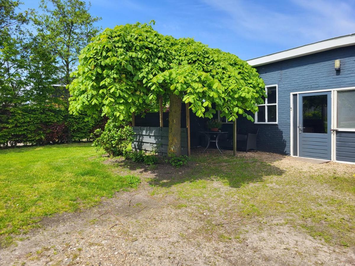 Breezand Luxe Bloemenzicht 4 Personen, Bnb, 10 Minuten Van Zee מראה חיצוני תמונה